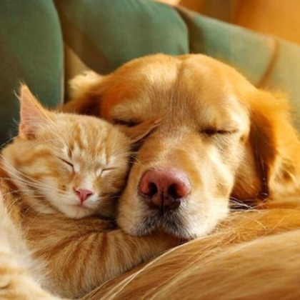 Повече от 160 граждански организации отправиха призив към институциите за