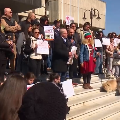 Протест във Варна срещу насилието над животни Повод за демонстрацията