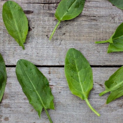 Пролетната трапеза най често се свързва със свежи салати и супи