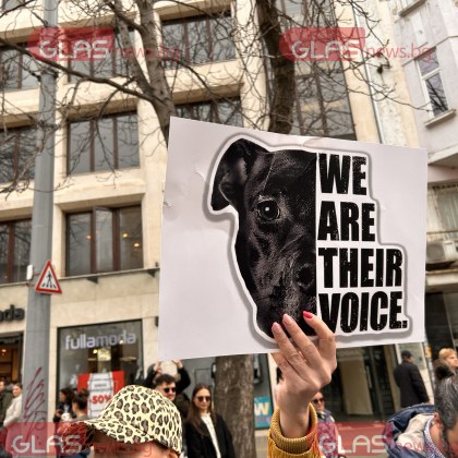 Случаят на жестокостта срещу животни с Габриела Сашова и Красимир