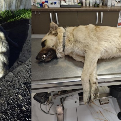 Съкрушителна история от Русе разказа жени в социалните мрежи Една от