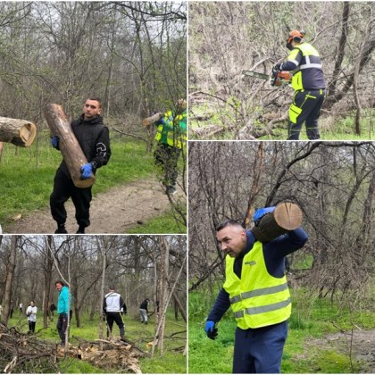 Стотици пловдивчани избраха да посветят почивния си ден за да