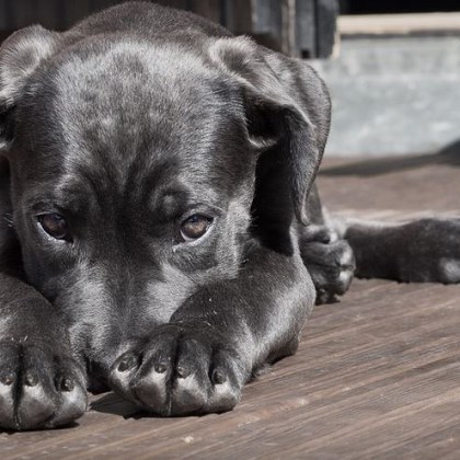 В шведския град Кришанстад се е случил инцидент по време