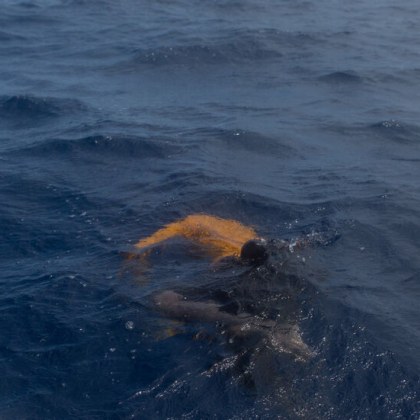 Откриха удавен издирвания 69 годишен мъж от Харманлийско съобщиха от полицията На 22 март