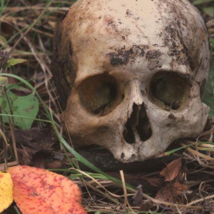 Служители на полицейското управление във Велико Търново разследват случай на намерен