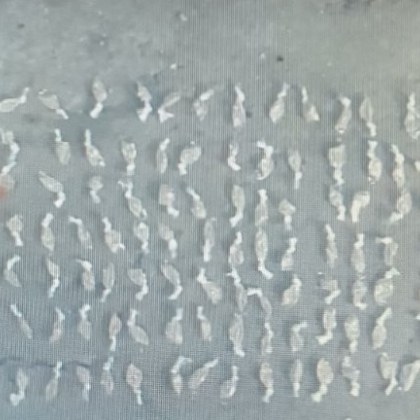 Над 1 8 килограма различни наркотични вещества са иззети при спецакции