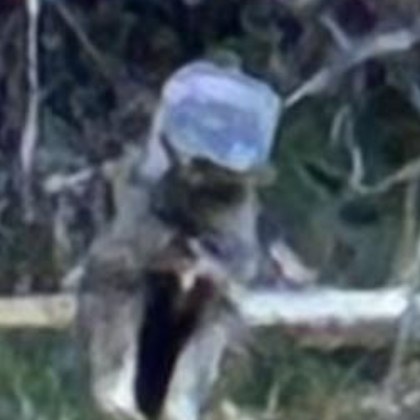 Ще ви разкажем една истинска трогателна история – за силата