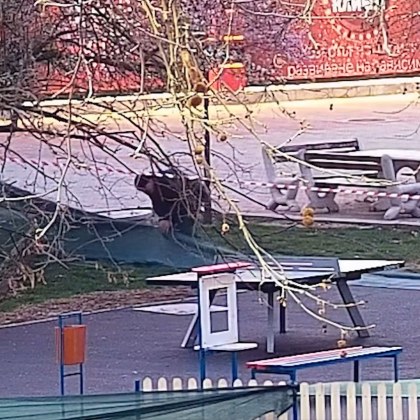 Запис от охранителна камера улови момента когато мъж решава да