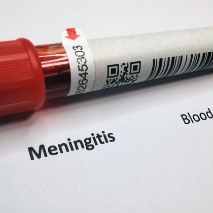 Инвазивната менингококова болест е заболяване което се характеризира с есенно зимна