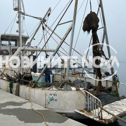 В мрежите на риболовен кораб в Созопол бе намерен военен