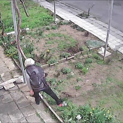 Абе госпожо цветята се продават в цветарските магазини а не