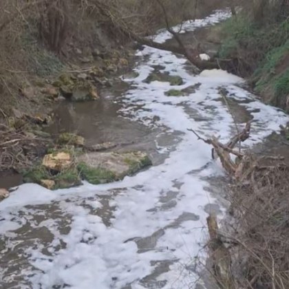 Сигнал за замърсяване на река Черни Лом край русенското село