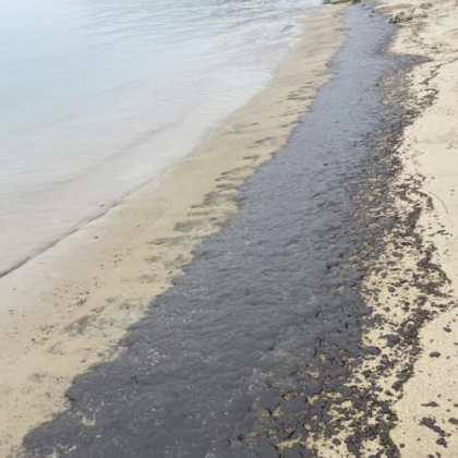 Плаж във Варна осъмна с огромни количества мазут Мястото е край