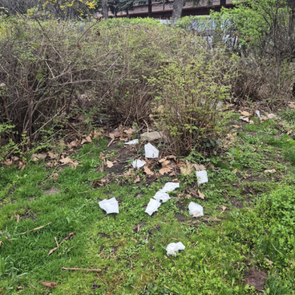 Жителите на столичния квартал Лагера с чувство за хумор но