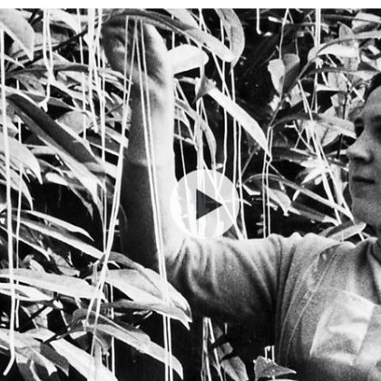 Преди точно 68 години милиони хора са гледали репортаж на