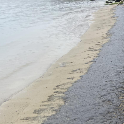 Вече близо 24 часа се извършват щателни проверки на всички