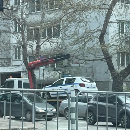 Кадър заснет по варненските улици бързо привлече вниманието и усмивките