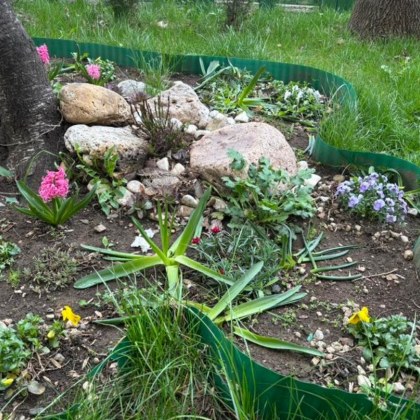 Грижливо поддържана от живущите в квартала градинка пред блок 132