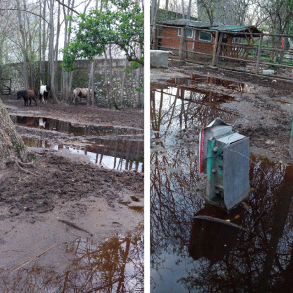 След обилните валежи в последните дни жителка на Пазарджик публикува