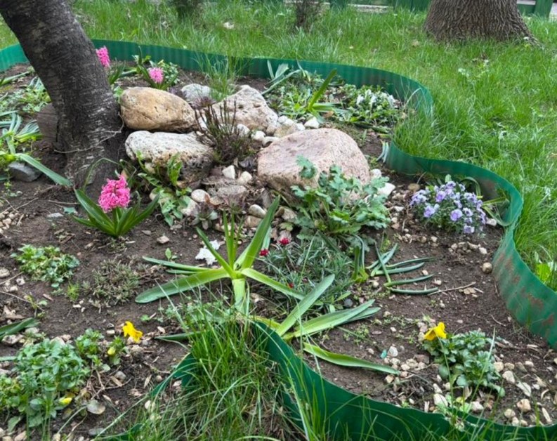 Неизвестен съсипа градинка с цветя в София, букет ли си направи? СНИМКИ