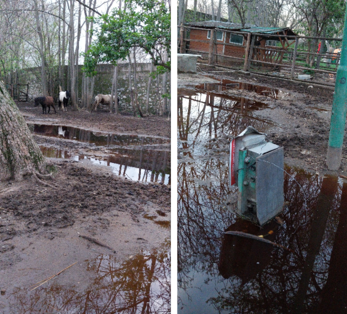 Пазарджишки абсурди: Ел. табло във водата и понита водолази СНИМКИ