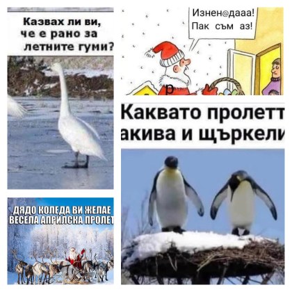 Докато календарът уверено твърди че е пролет прозорецът ни гледа