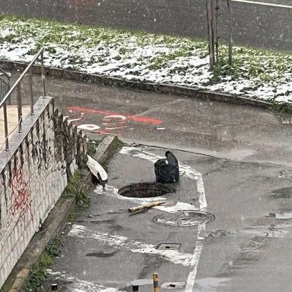 Кола пропадна в отворена шахта във Варна За случката алармира местен