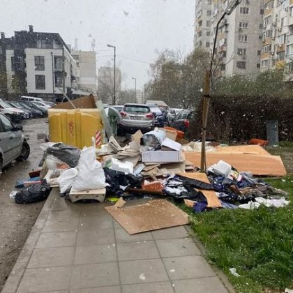 Грозна гледка разгневи столичанин Тротоар край казани за смет в