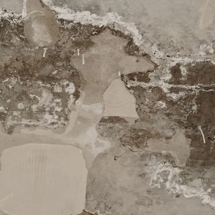 Състоянието на клиника в Ловеч остави без думи дама Анна