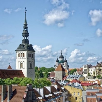 Естонският президент подписа днес конституционна поправка която забранява на неграждани