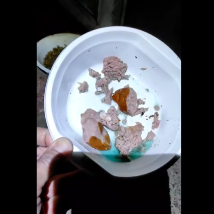 Пореден ужасяващ случай на насилие над животни разтърси Русе На