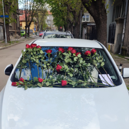 Снимка заснета в Русе предизвика вълна от коментари и емоции