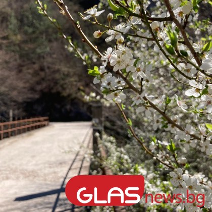 Прогнозите са за затопляне на времето днес е последният ден