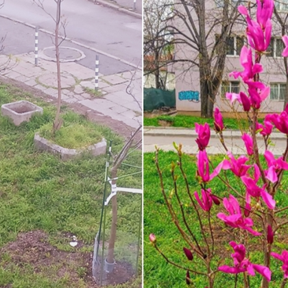 Жители на софийския квартал Оборище останаха шокирани и разочаровани когато