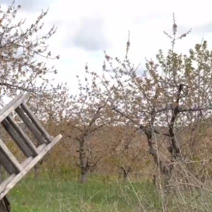 До часове се очаква област Кюстендил официално да обяви частично