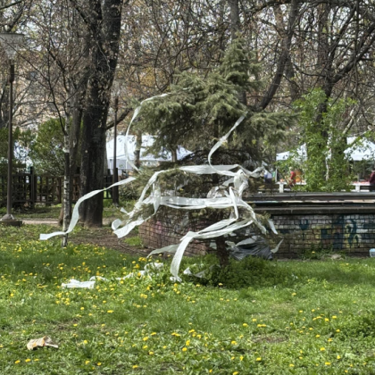 Жител на София публикува снимка от парка пред Националния дворец