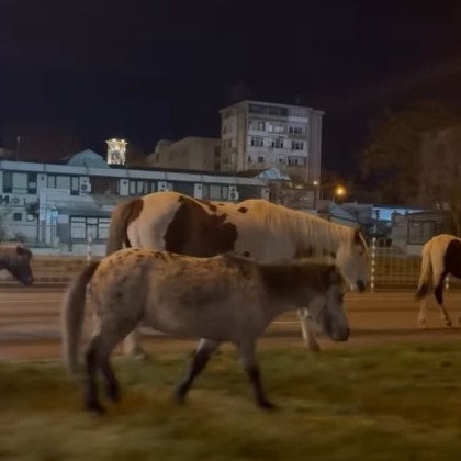Сливен не спи а и не само хората в него