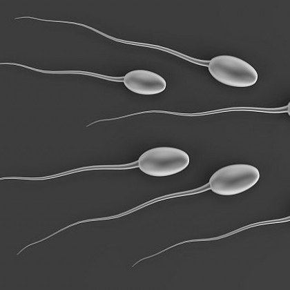 На 25 април в американския щат Калифорния ще се проведе