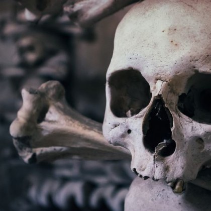 52 годишна жена от Флорида арестувана за търговия с човешки останки