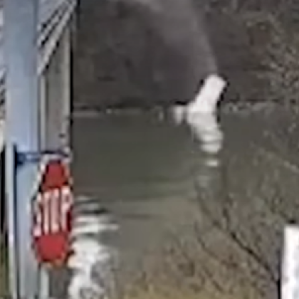 Инцидентът при който микробус падна във водите на река Дунав