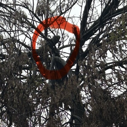 В пловдивския Кючук Париж на улица Павел Калпакчиев №45 високо