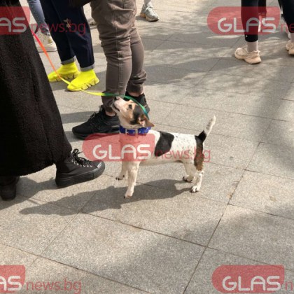 Министерският съвет одобри проект на Закон за изменение и допълнение