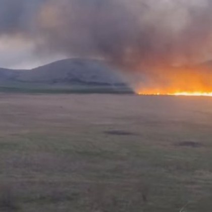 Пожар гори в района на Алдомировското блато Сигналът е подаден в