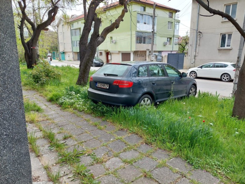 Да се знае! Зелената зона не означава да паркираме върху зелено СНИМКА