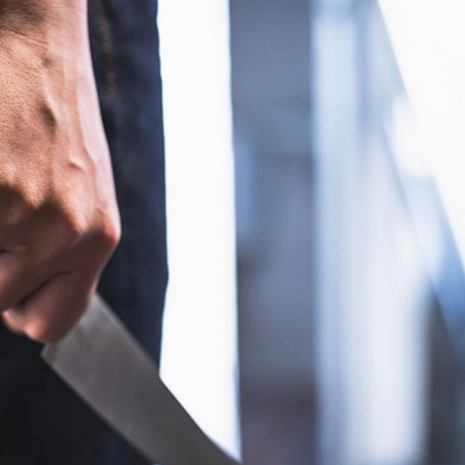 14 годишно момче е замесено в бруталното убийство в несебърското село Кошарица Това