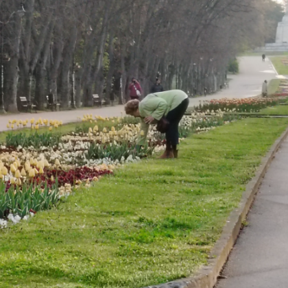 Ранна сутрешна сцена в Морската градина във Варна предизвика истински