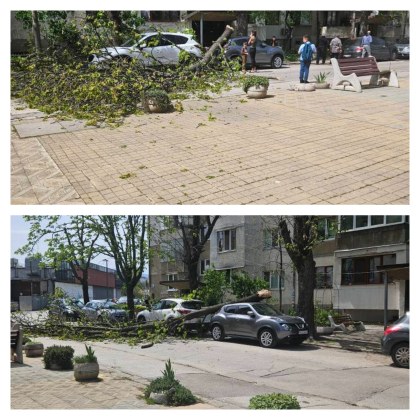 На улицата зад магазин Бурлекс в столичния квартал Свобода днес