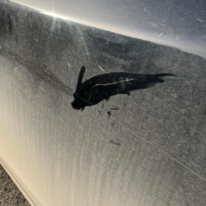 Пореден случай на умишлено надрано превозно средство в София бе