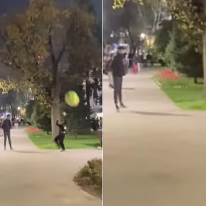 Поредна възмутителна случка от софийски парк отново поставя въпроса какво се