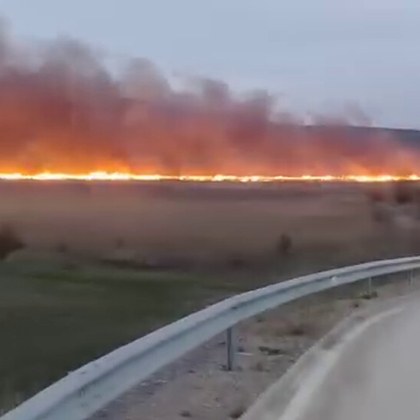 Почти цялата площ на защитената местност Алдомировското блато бе засегната